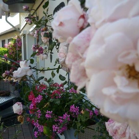 Gastehaus Rosengarten Im Nahetal Kirn 외부 사진