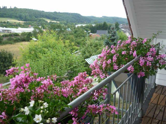 Gastehaus Rosengarten Im Nahetal Kirn 객실 사진